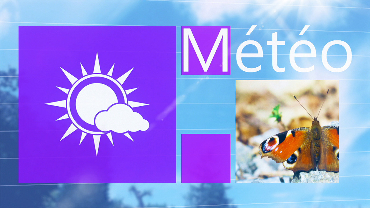 Météo Vedia