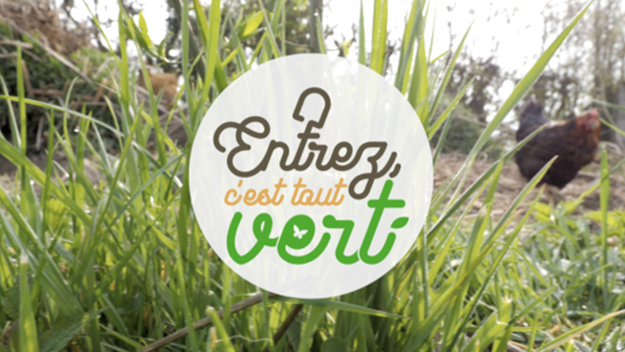 Entrez C'est Tout Vert - 09/05/2024