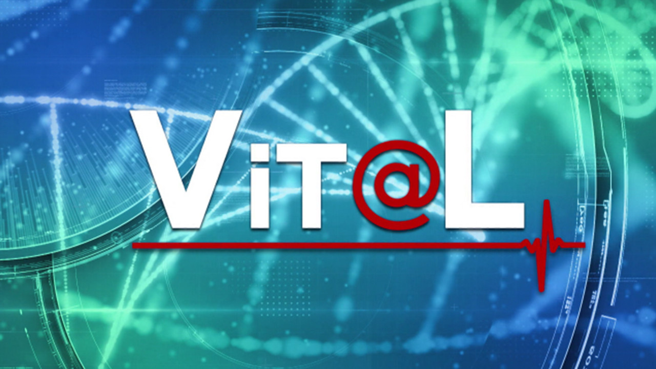 VitaL - 24/02/2024