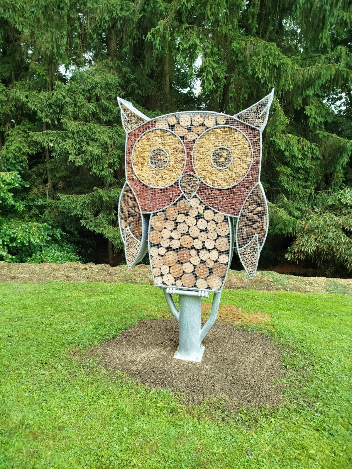 Les jeunes conseillers plombimontois ont inauguré leur projet au home Regina