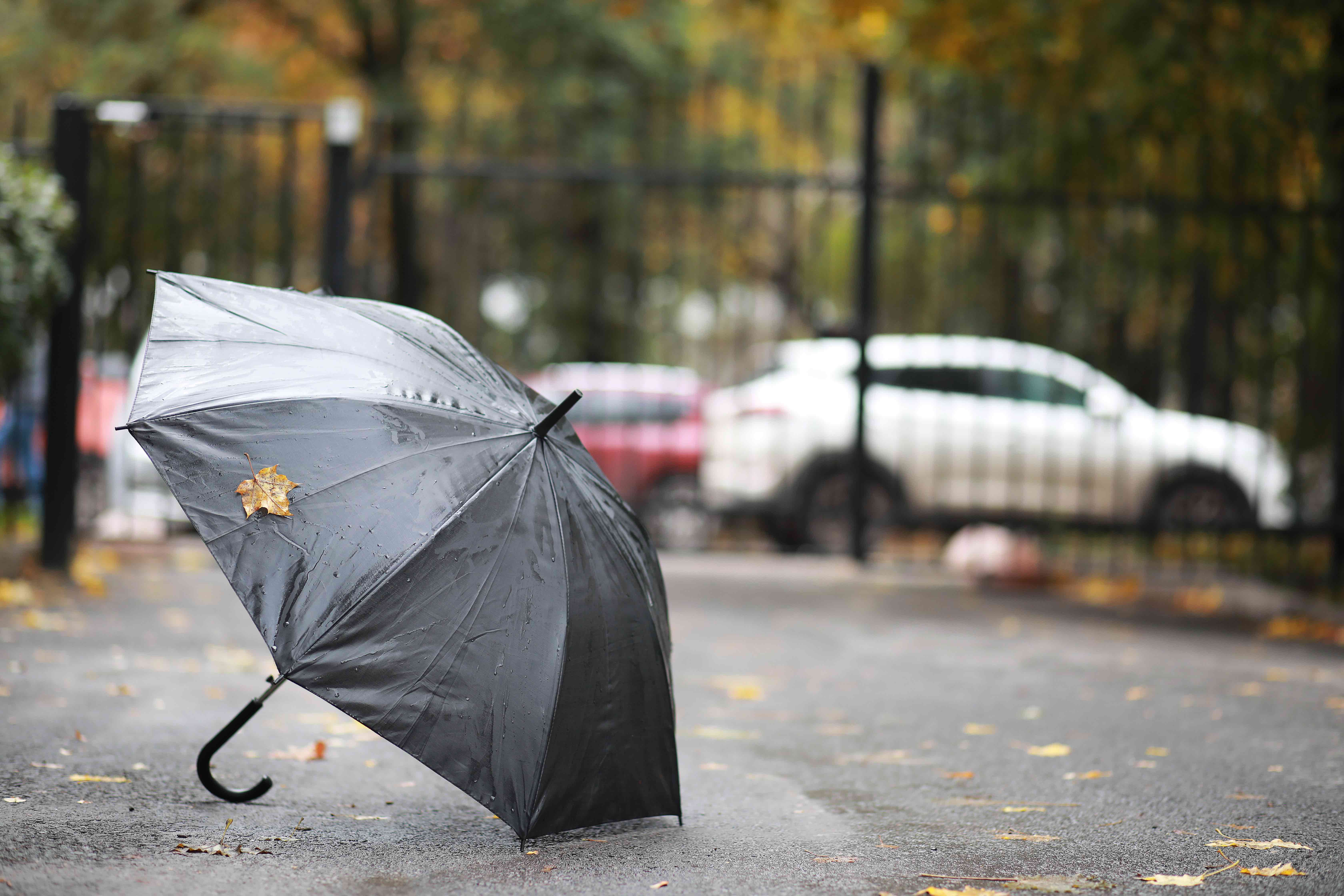 Tempête annoncée : Verviers ferme ses parcs, plaines et cimetières par précaution