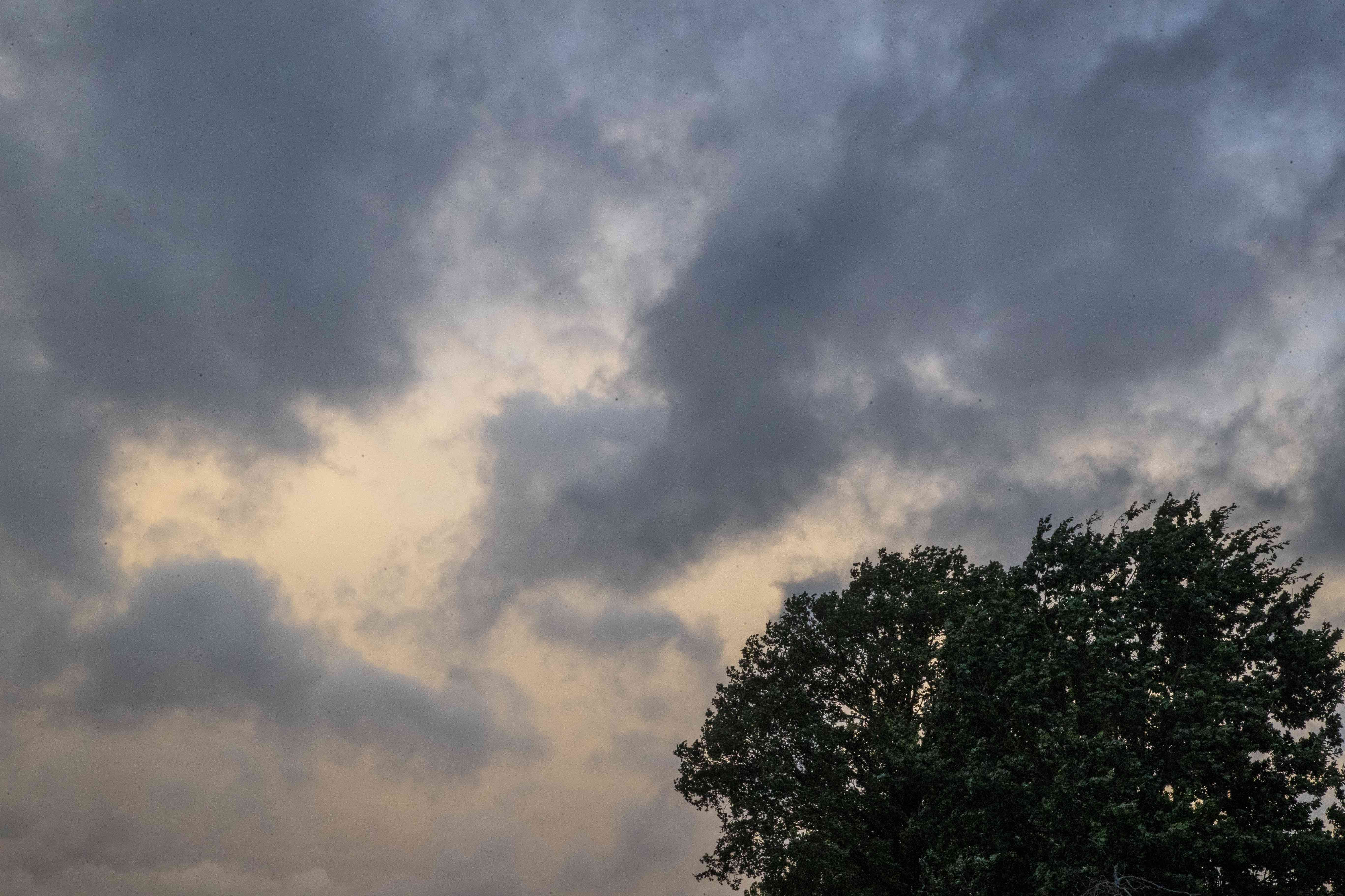 Tempête Benjamin : les pompiers à pied d'oeuvre en région verviétoise