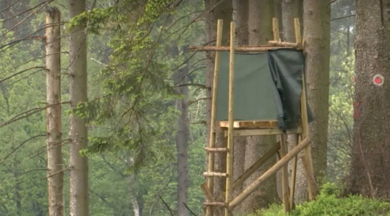 Chasse à Spa : la motion de l’opposition rejetée après un vif débat