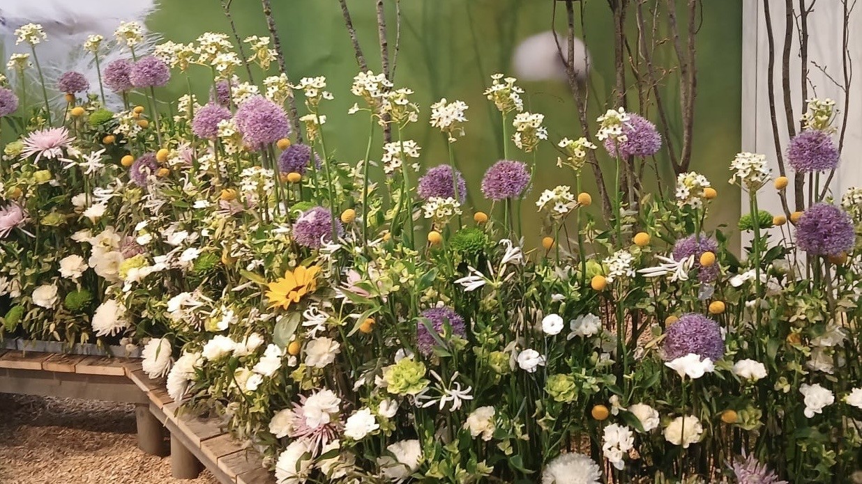 Aux Floralies de Gand, Bernadette Pichot fait éclore les Fagnes au cœur de l’élite mondiale des fleurs