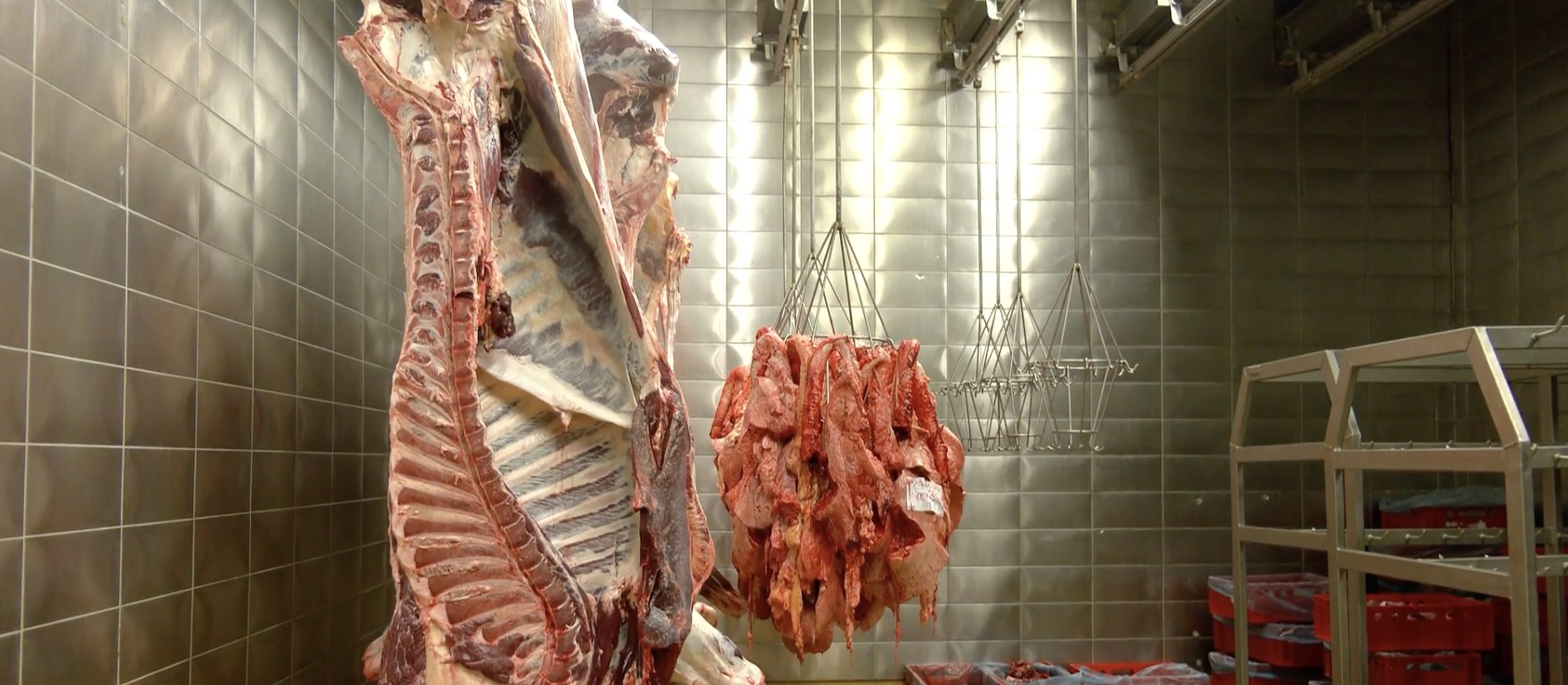 Cession ou concession, le sort de l’abattoir d'Aubel se joue maintenant !