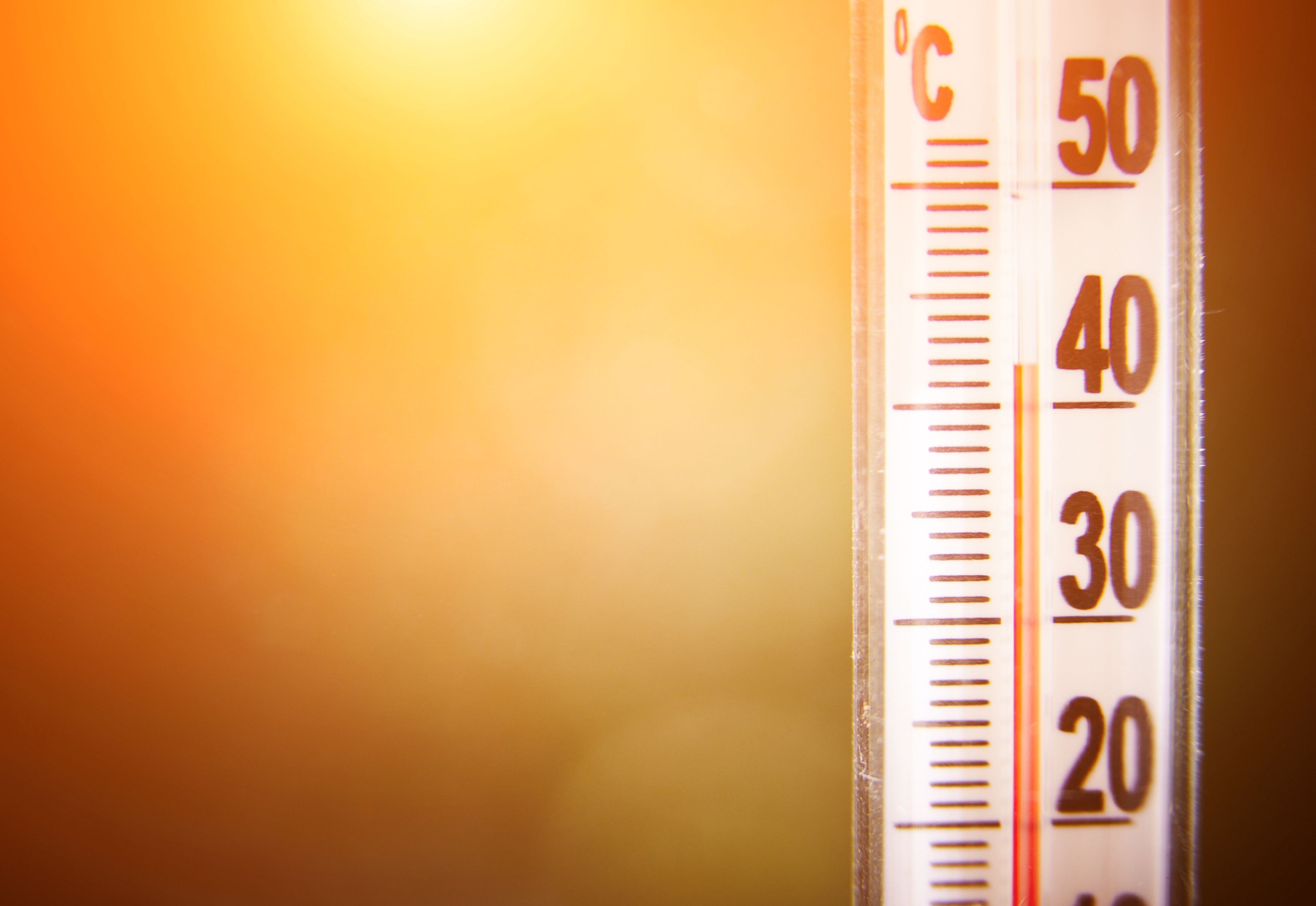 Canicule : alerte rouge et mesures renforcées dans toute la province de Liège