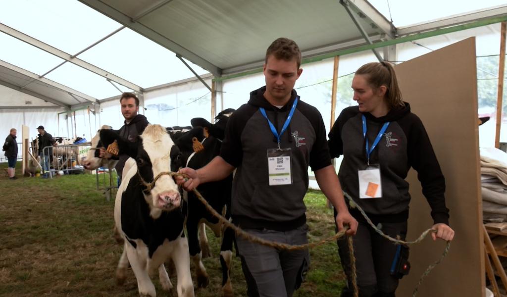 La Foire agricole de Battice, carrefour mondial des jeunes passionnés d’élevage