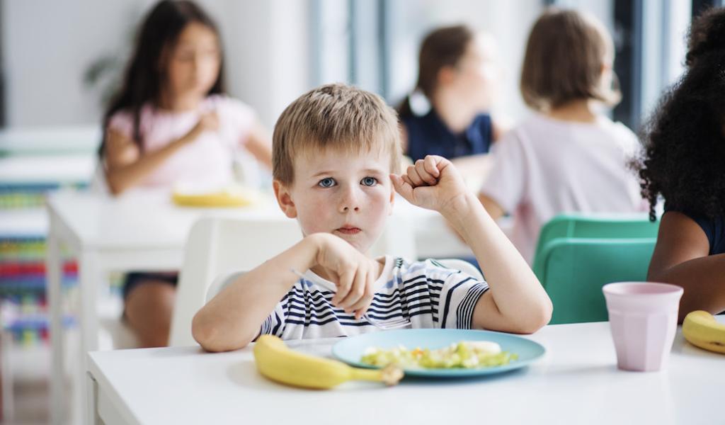 Vers une alimentation durable dans les écoles verviétoises : le RATaV mène l’étude sur une cantine collective