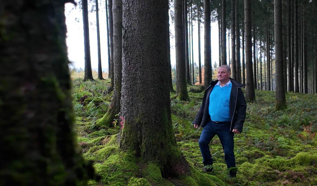 Stavelot: une vente de bois record