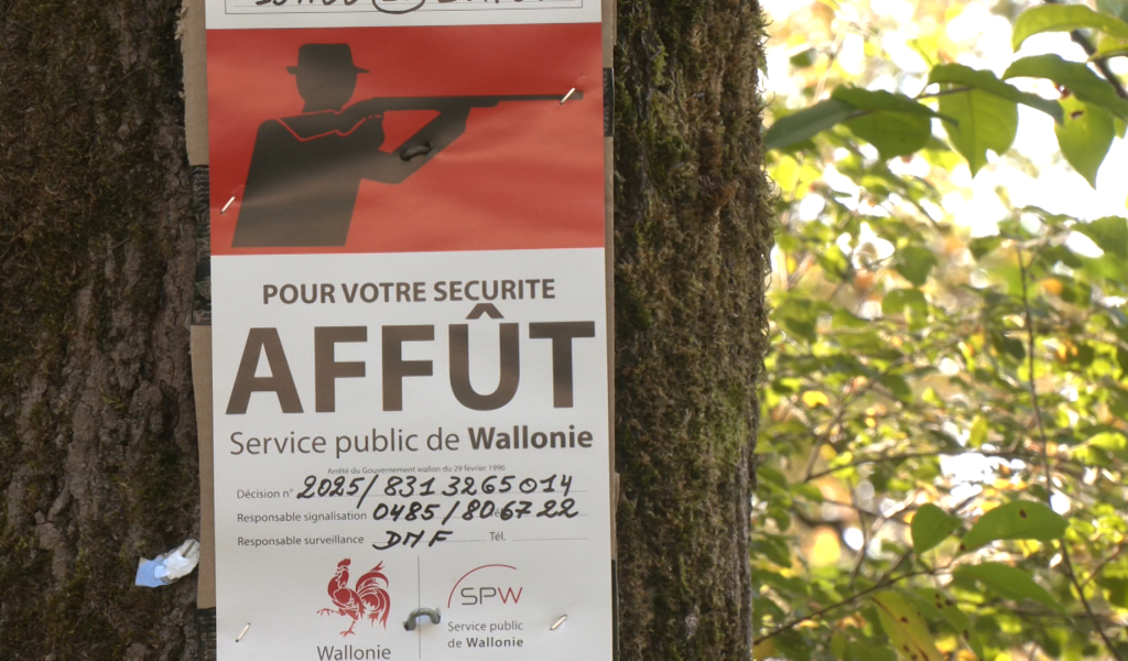 Chasseurs et promeneurs, une cohabitation sous tension !