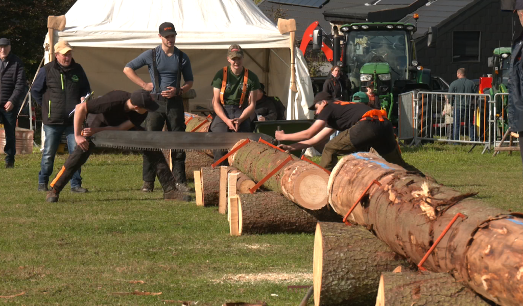 La Foire agricole et forestière de Jalhay ne cesse de s'agrandir