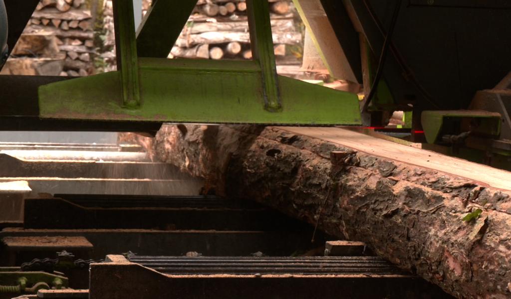 Le bois wallon, une filière de qualité