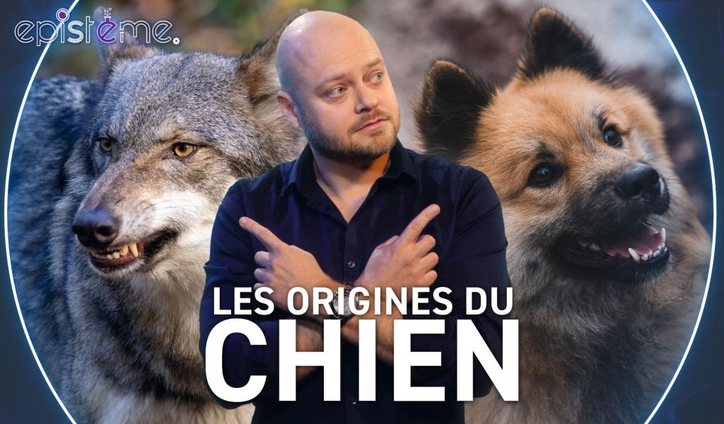 Epistème - Les Origines du Chien