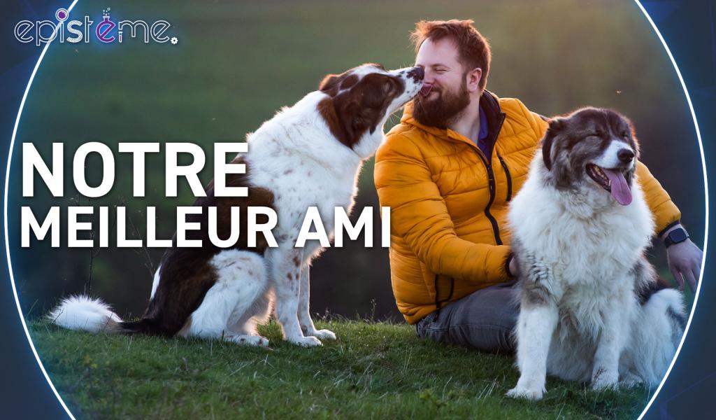 Epistème - Pourquoi les Chiens sont-ils si proches de nous ?