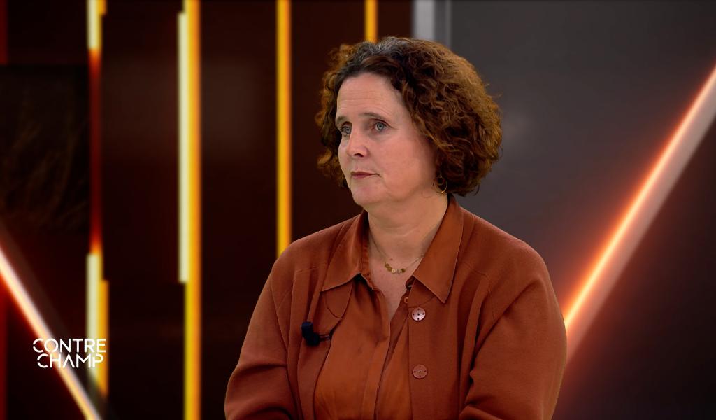 " Le vrai enjeu, c’est la capacité d’accueil du territoire "