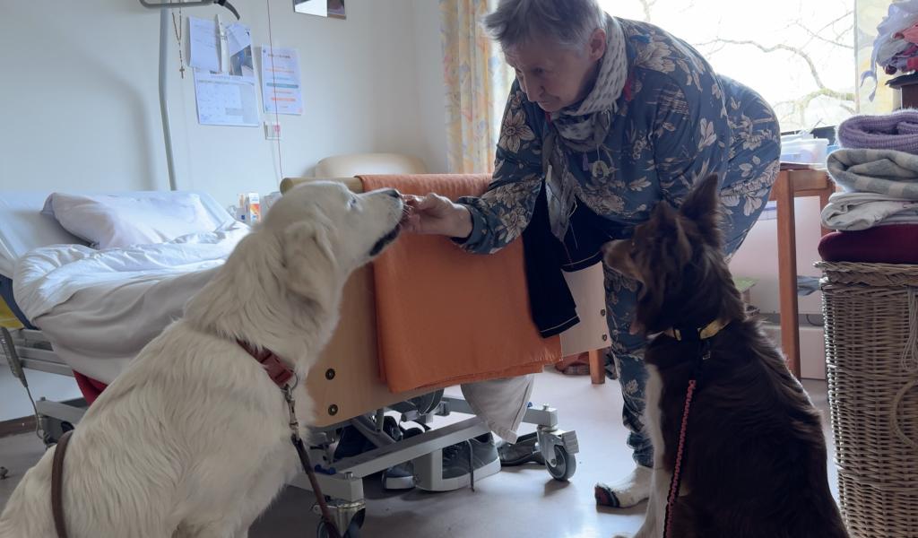 Stavelot: réconfort canin à la Résidence Ferdinand Nicolay