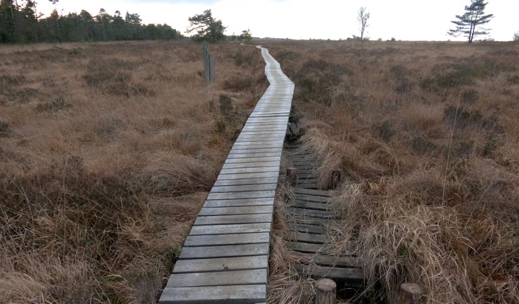 La fagne de Malchamps dévastée : la Ville de Spa engage la bataille judiciaire