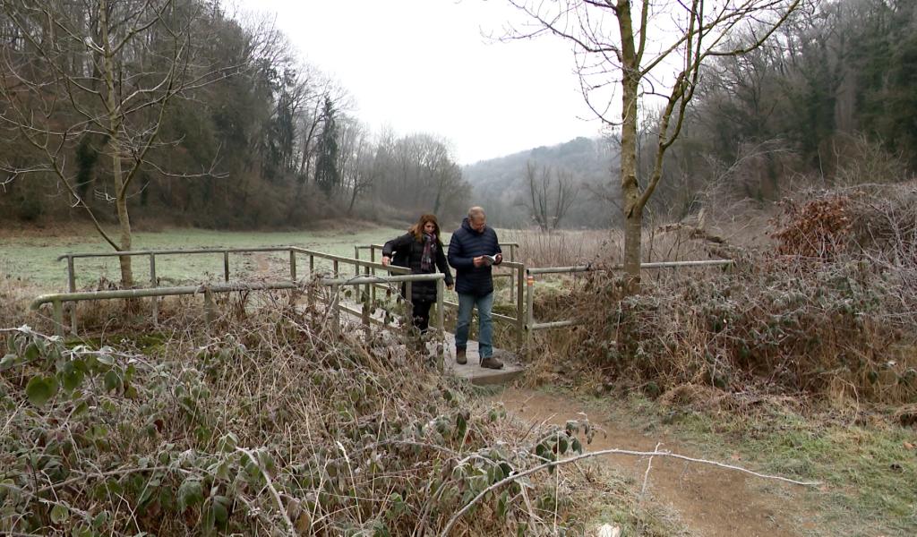 Le GR5 se redécouvre en Wallonie et au Grand-Duché de Luxembourg