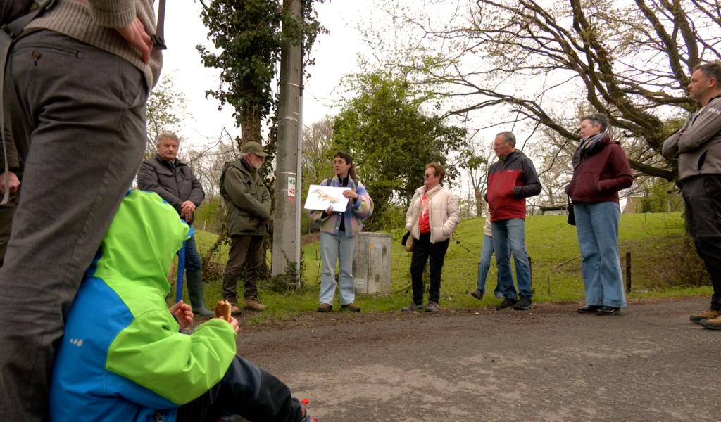Herve: un projet pilote pour limiter le ruissellement à Manaihant