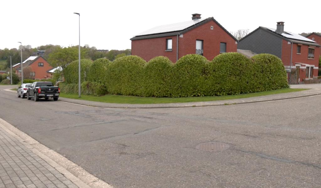 Des zones de parking créatrices de danger dans le Bois Goulet à Stembert ?