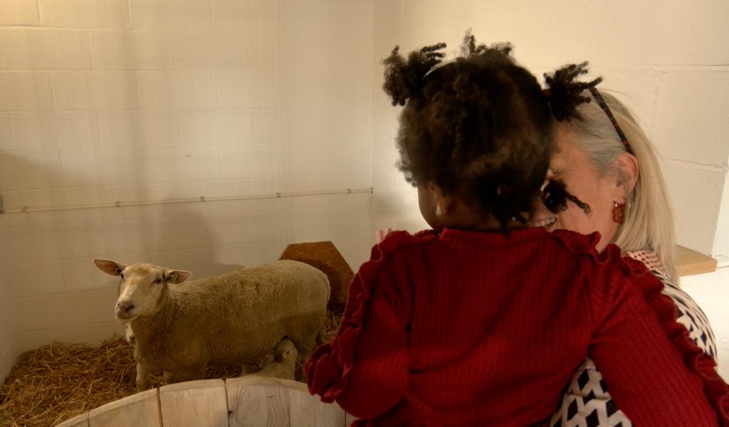 Baelen: une nouvelle ferme pédagogique pour les enfants du Home Saint-François