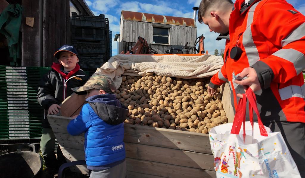 Donner ses pommes de terre pour ne pas les jeter
