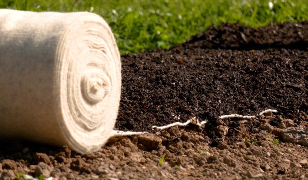 Le feutre en laine de mouton, concept innovant et bio pour les maraîchers
