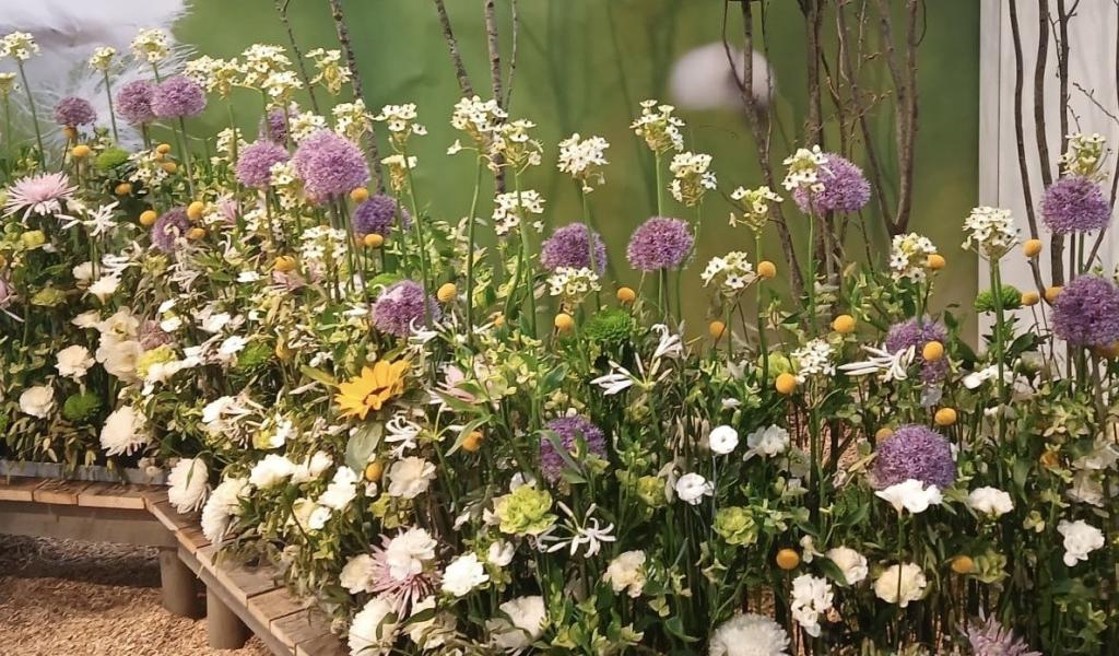 Aux Floralies de Gand, Bernadette Pichot fait éclore les Fagnes au cœur de l’élite mondiale des fleurs