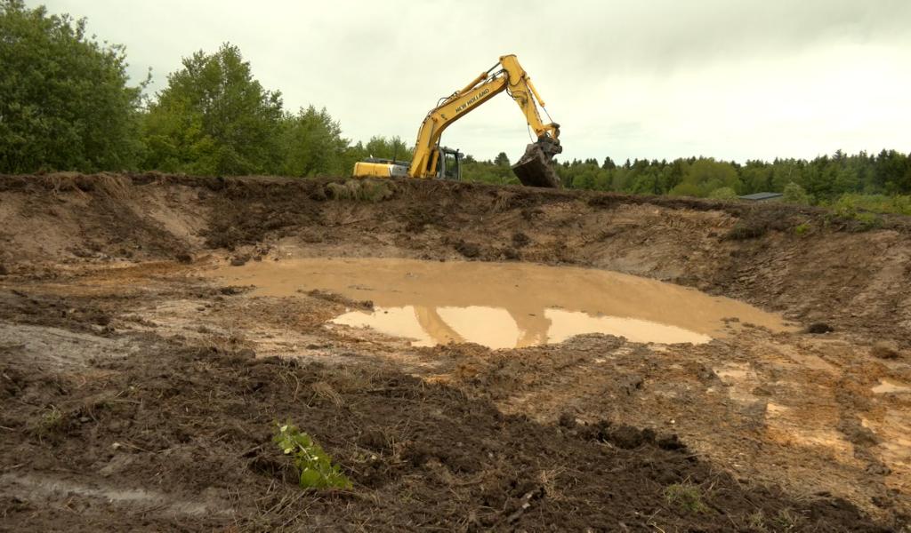 Bronromme: la nature en reconstruction