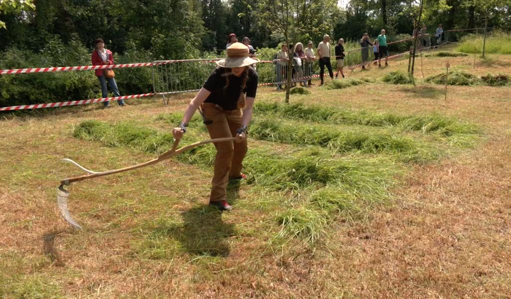 Welkenraedt : premier championnat de fauchage à la faux en Wallonie