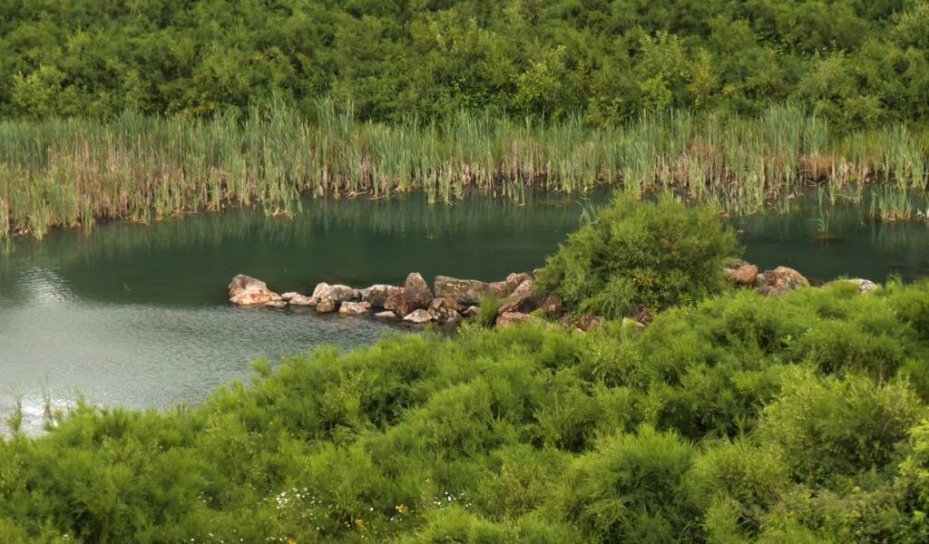 Coo : un chantier industriel devenu refuge pour la biodiversité