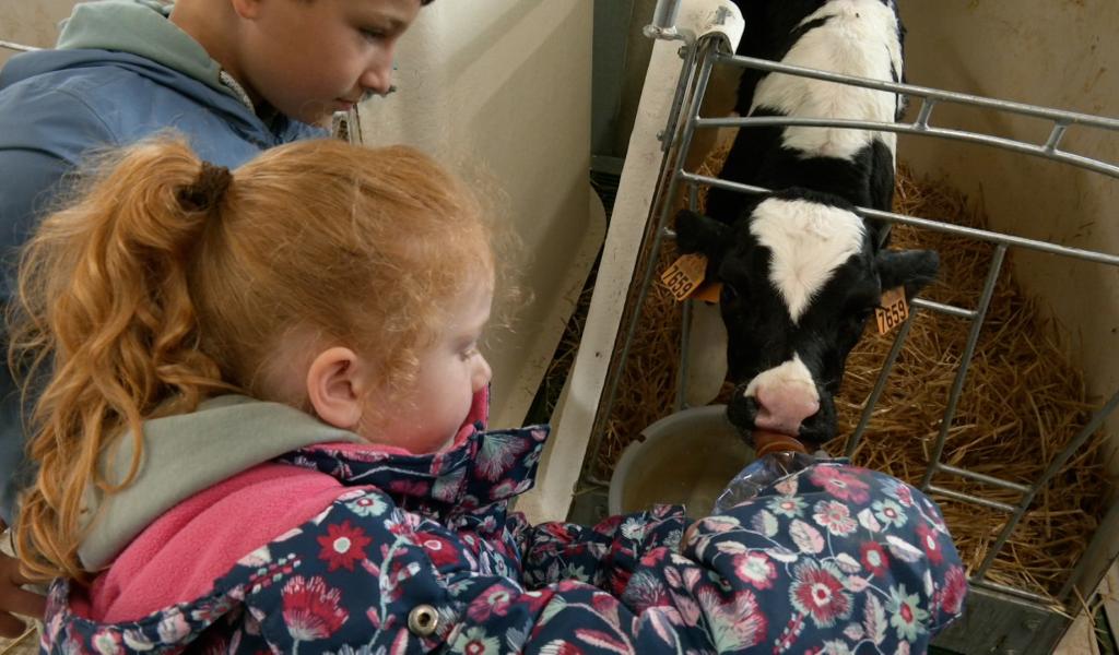 Des écoliers découvrent la ferme Zander… du sol à l’assiette