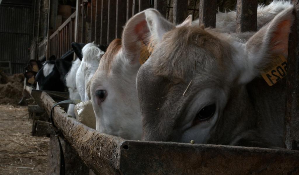 Les agriculteurs en colère contre la pub Gaia