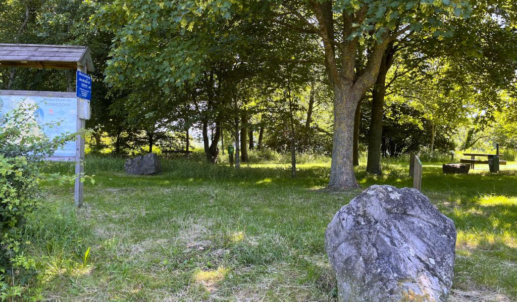 L'arboretum de Goé rouvre ses portes