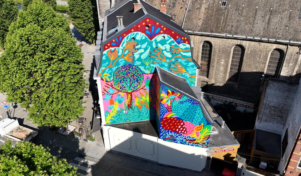 Verviers : une nouvelle fresque pour voir la vie en couleurs