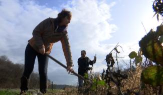 Natagora Pays de Herve cherche des bras pour sauver la planète