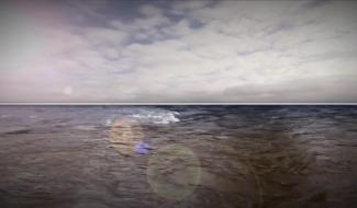 Rat des villes rat des champs - Les cours d'eau