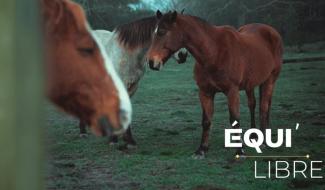 Equi'libre - 24/05/2024