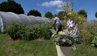 Thimister: un îlot de couleurs à l'entrée du zoning