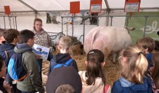 Quand la Foire agricole de Battice devient une classe à ciel ouvert