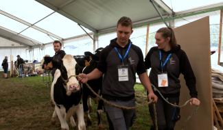 La Foire agricole de Battice, carrefour mondial des jeunes passionnés d’élevage