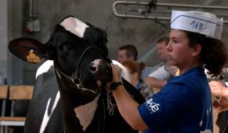 Petits et grands à la 35ème Foire agricole de Battice