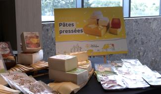Nouvelle fromagerie, nouveaux défis : à Herve, Terre de Fromages veut doubler sa production