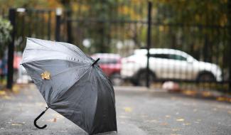 Tempête annoncée : Verviers ferme ses parcs, plaines et cimetières par précaution