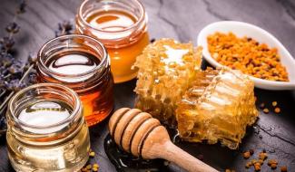 Georges Jost et Norbert Gazon brillent au concours des Miels 2025