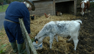 Une grande mobilisation citoyenne a sauvé la ferme de Neubempt à Plombières