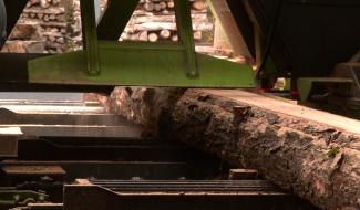 Le bois wallon, une filière de qualité