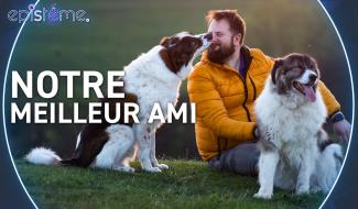Epistème - Pourquoi les Chiens sont-ils si proches de nous ?