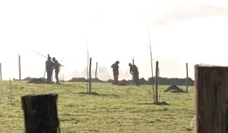 Des arbres plantés à Stoumont grâce à des entreprises