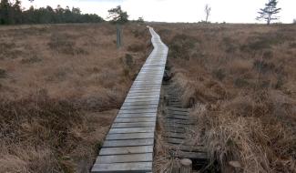 La fagne de Malchamps dévastée : la Ville de Spa engage la bataille judiciaire